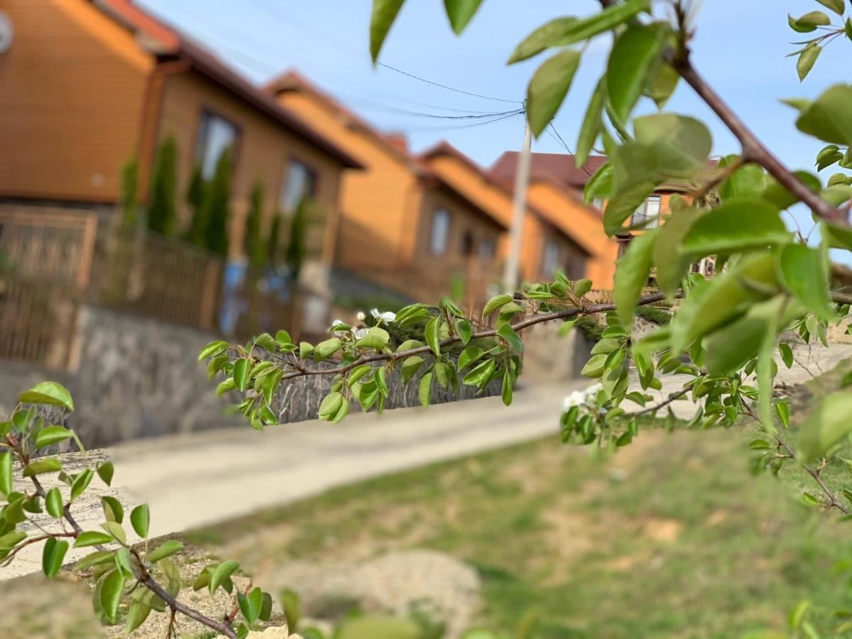 Mini Hotel Solnce Karpat Polyana  Εξωτερικό φωτογραφία